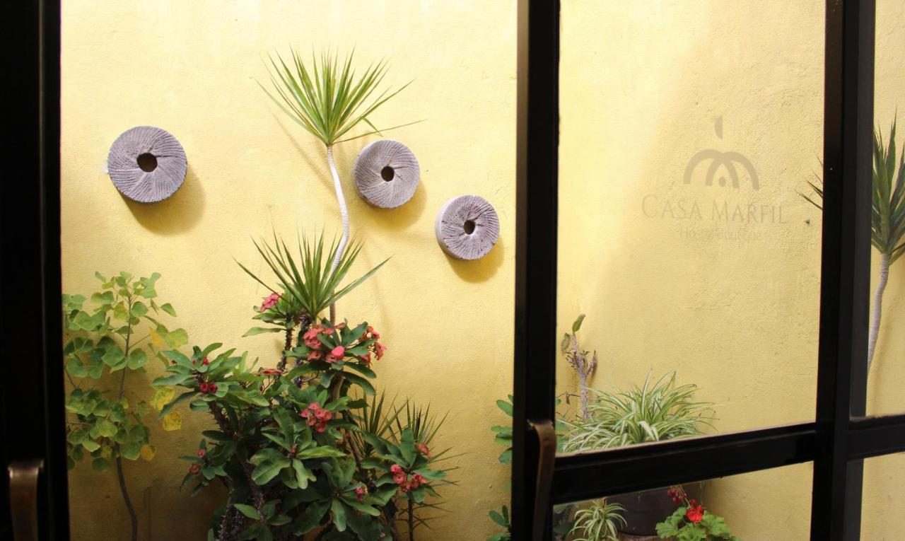 Casa Marfil Apartment Lagos de Moreno Bagian luar foto